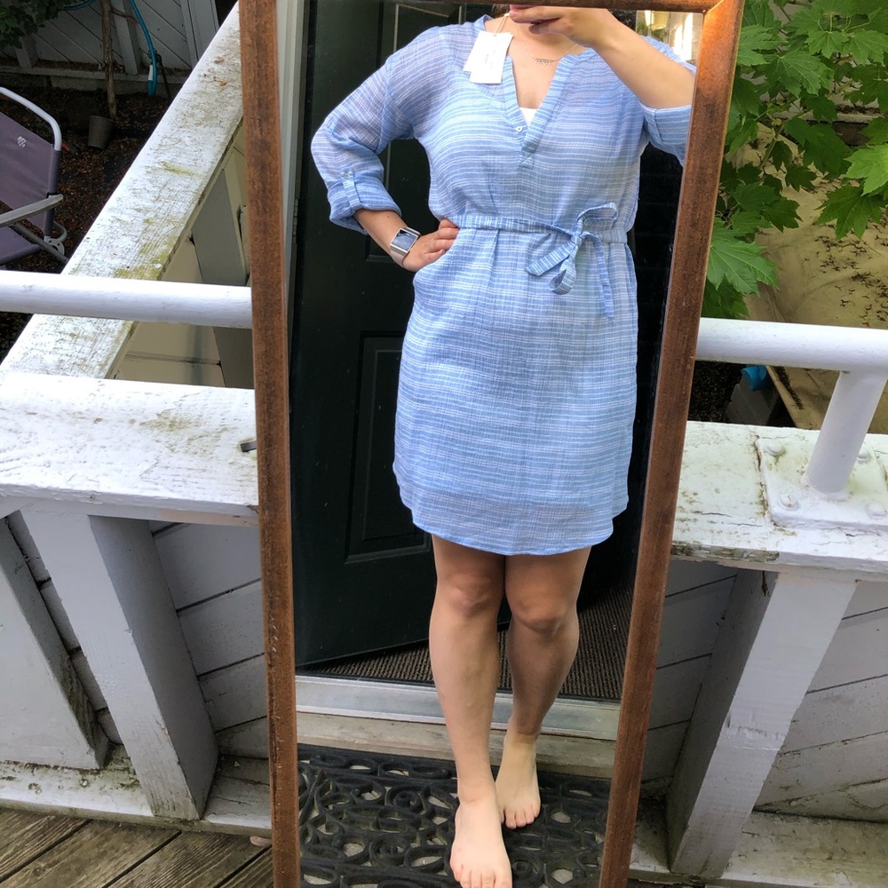 Soft Joie Chambray Shella Dress